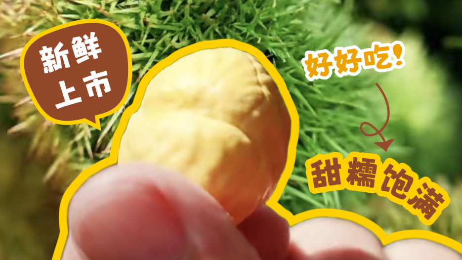 即将大量上市！苏州吴中初秋“甜糯”